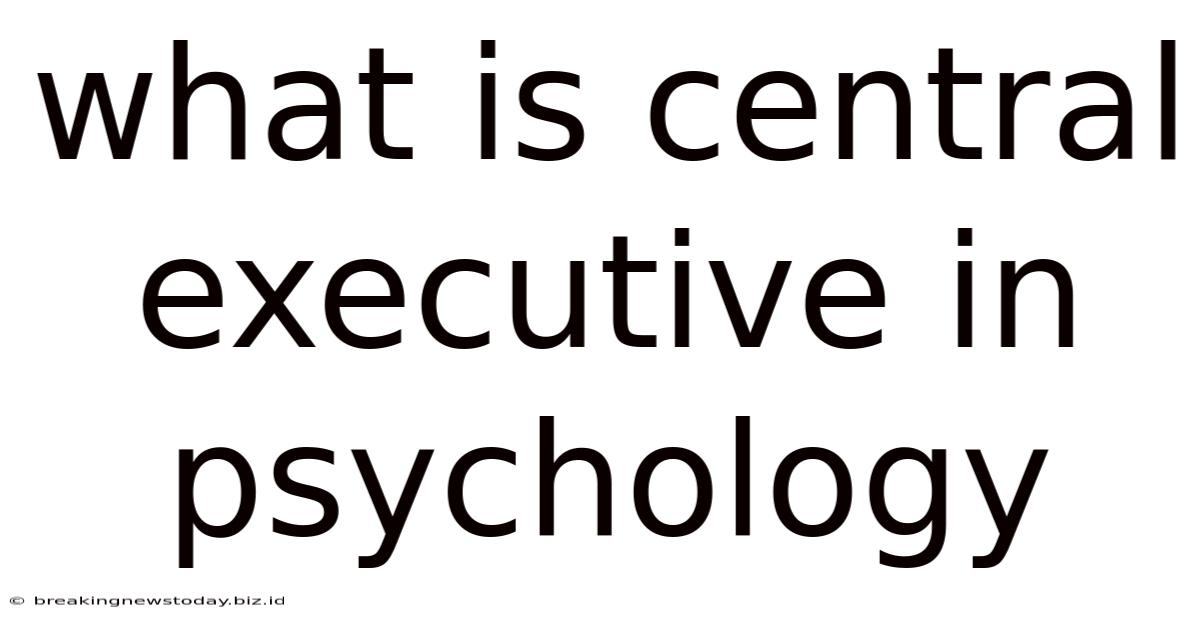 What Is Central Executive In Psychology