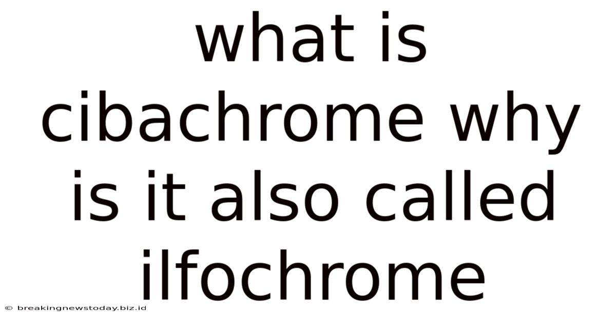 What Is Cibachrome Why Is It Also Called Ilfochrome