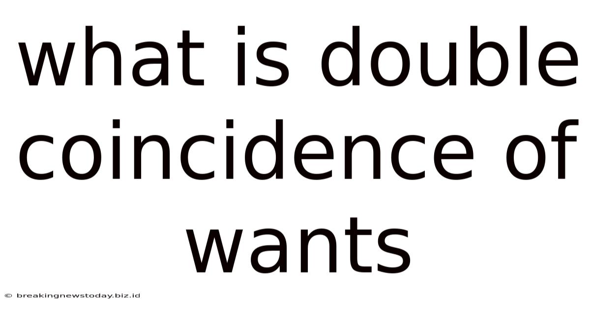 What Is Double Coincidence Of Wants