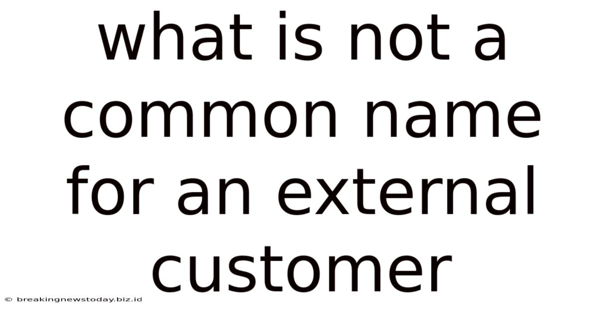 What Is Not A Common Name For An External Customer