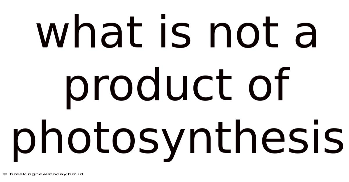 What Is Not A Product Of Photosynthesis
