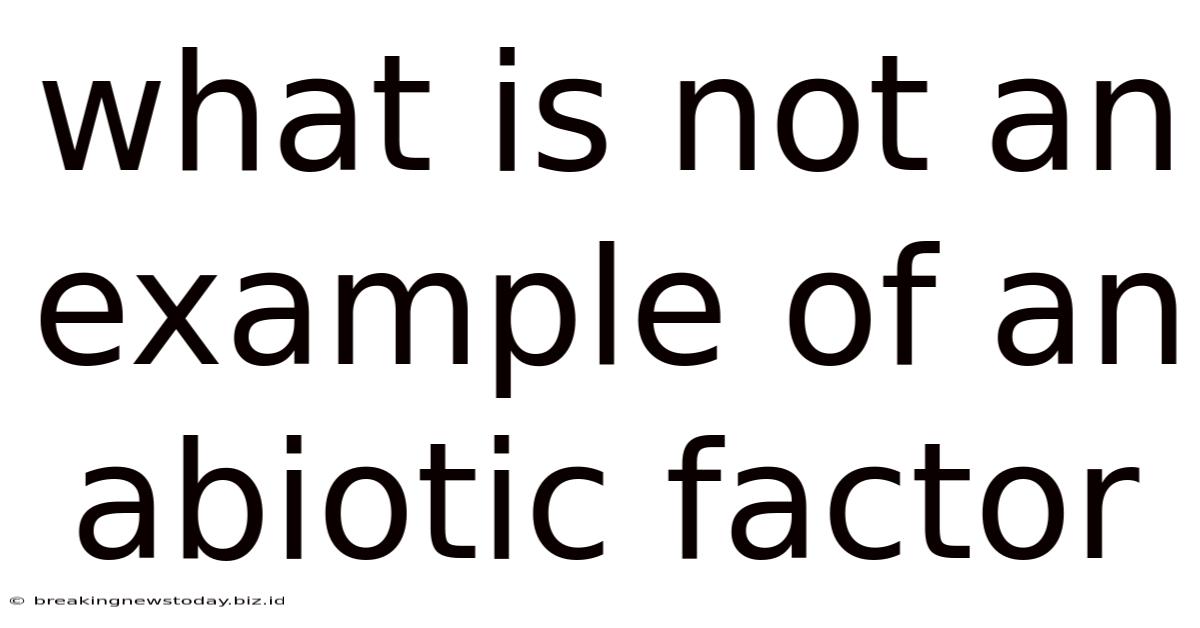 What Is Not An Example Of An Abiotic Factor
