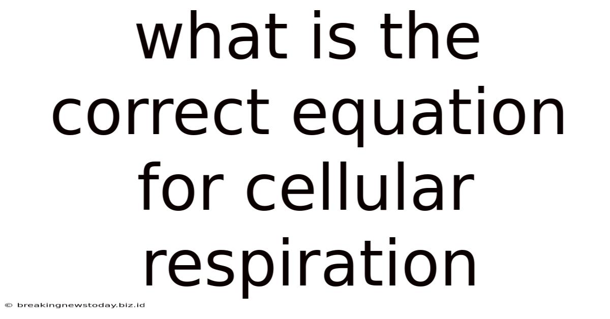 What Is The Correct Equation For Cellular Respiration