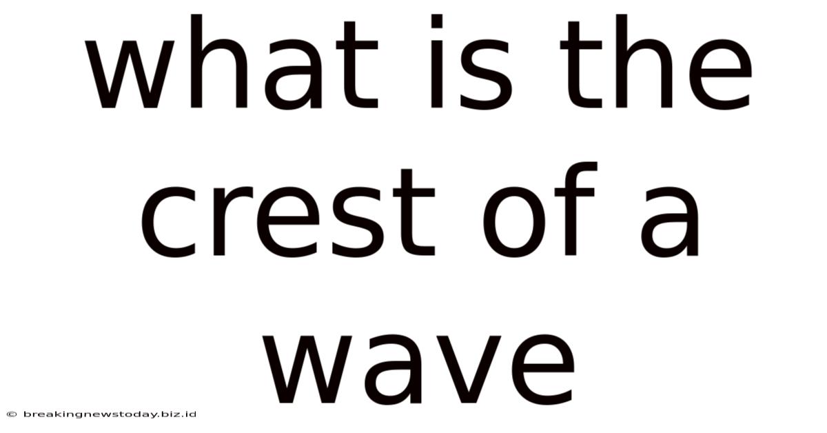 What Is The Crest Of A Wave