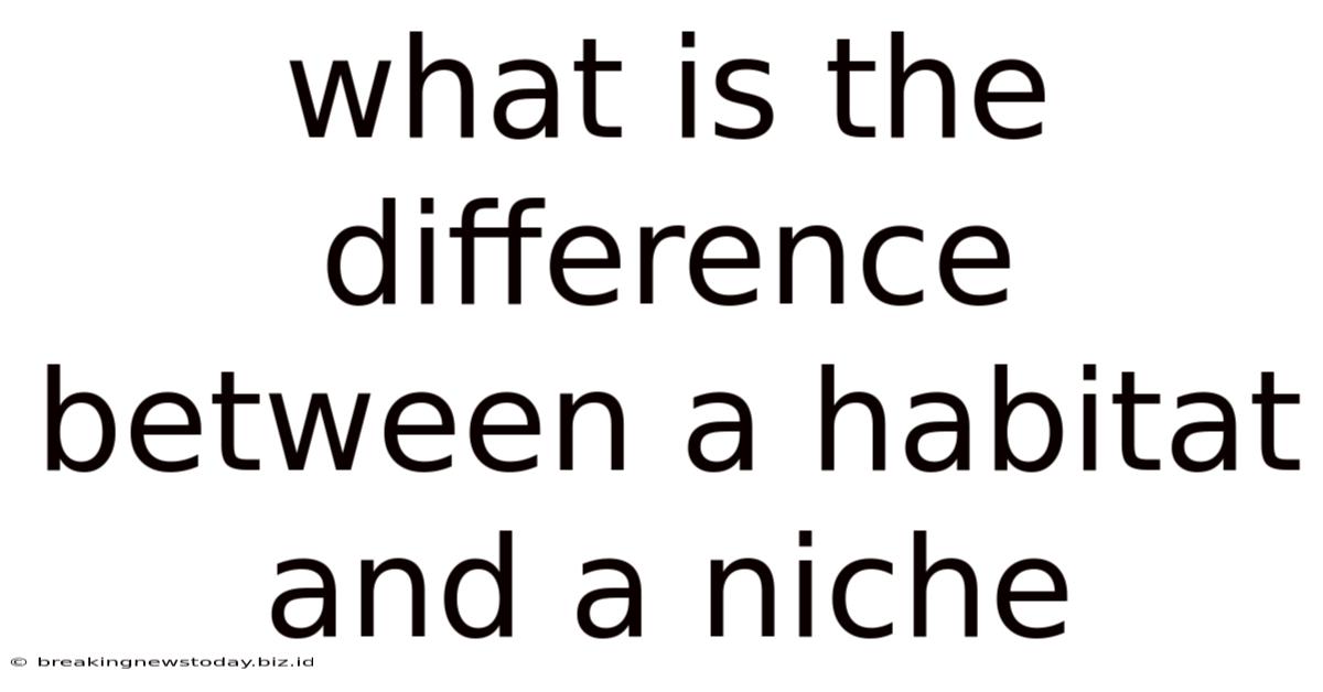 What Is The Difference Between A Habitat And A Niche