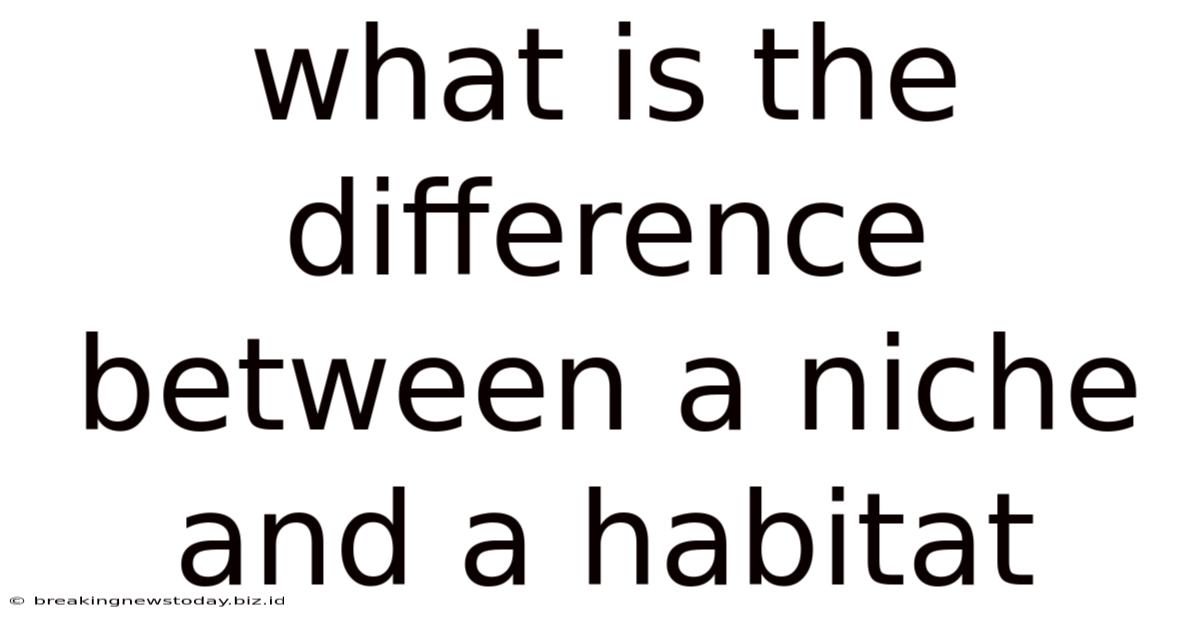 What Is The Difference Between A Niche And A Habitat
