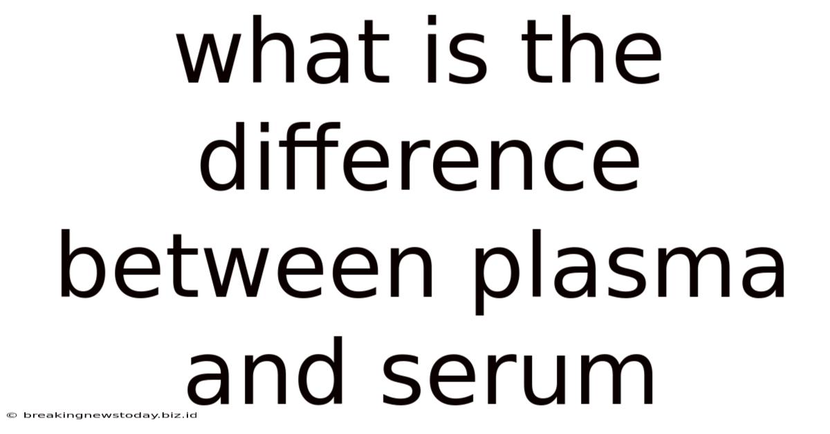 What Is The Difference Between Plasma And Serum