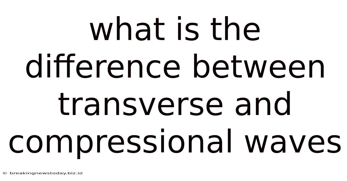 What Is The Difference Between Transverse And Compressional Waves