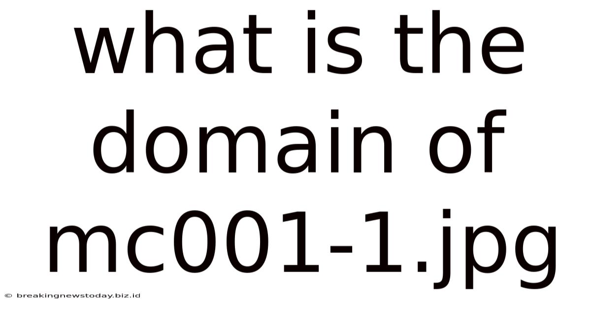 What Is The Domain Of Mc001-1.jpg