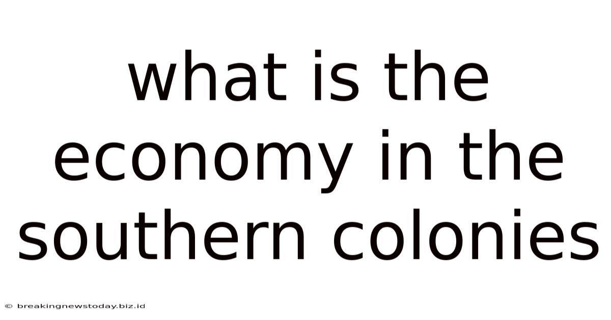 What Is The Economy In The Southern Colonies