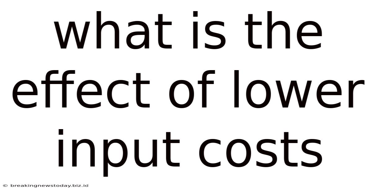 What Is The Effect Of Lower Input Costs
