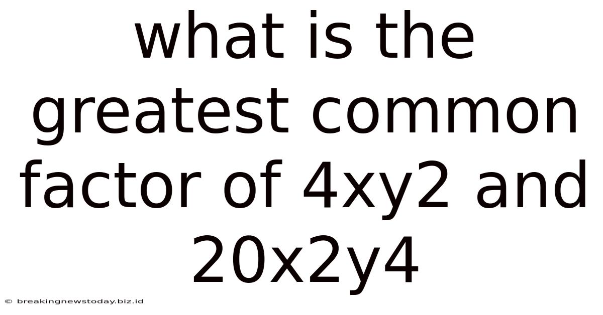 What Is The Greatest Common Factor Of 4xy2 And 20x2y4