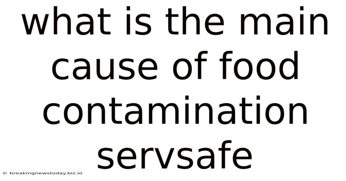 What Is The Main Cause Of Food Contamination Servsafe