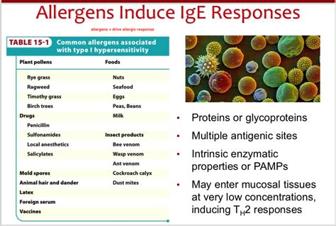 What Is The Major Symptom Of An Allergic Response Quizlet