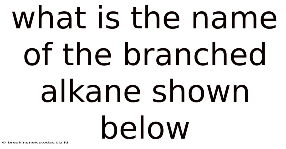 What Is The Name Of The Branched Alkane Shown Below