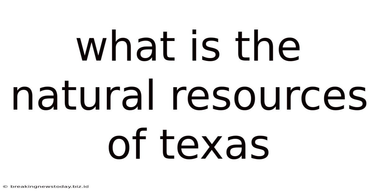 What Is The Natural Resources Of Texas
