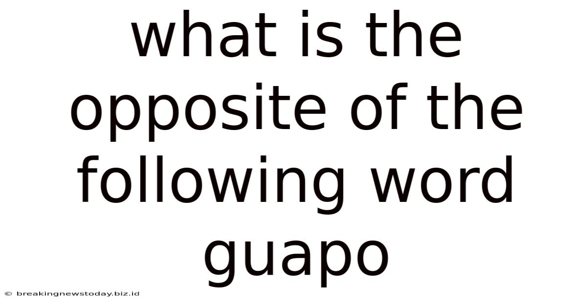 What Is The Opposite Of The Following Word Guapo