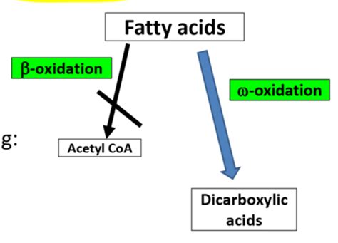 What Is The Outcome Of Ketosis Quizlet