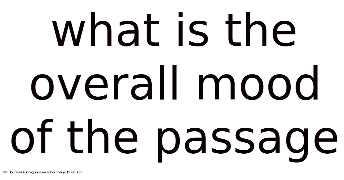What Is The Overall Mood Of The Passage