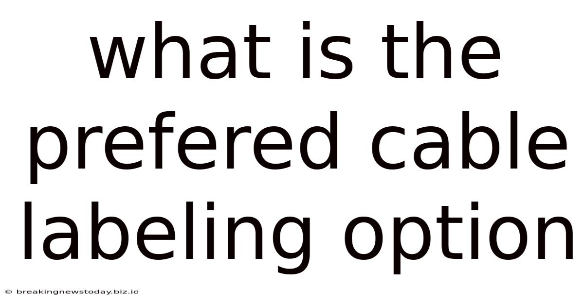 What Is The Prefered Cable Labeling Option