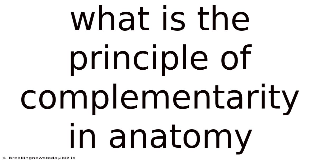 What Is The Principle Of Complementarity In Anatomy
