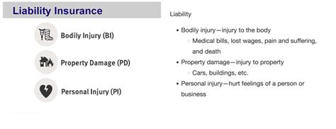 What Is The Purpose Of Liability Insurance Quizlet