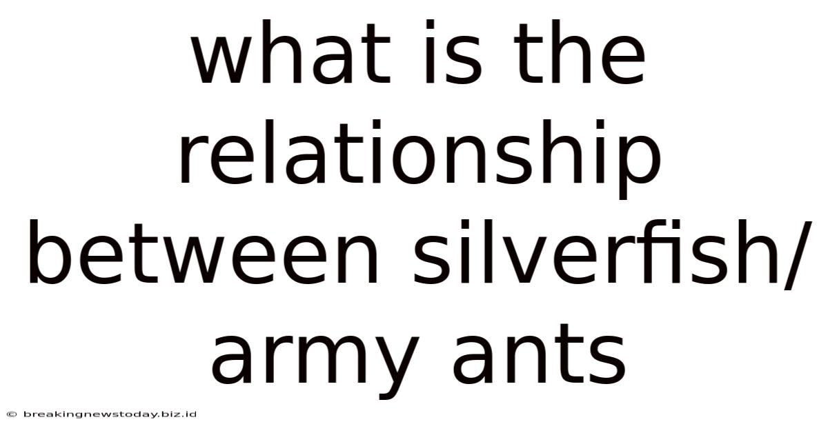 What Is The Relationship Between Silverfish/army Ants