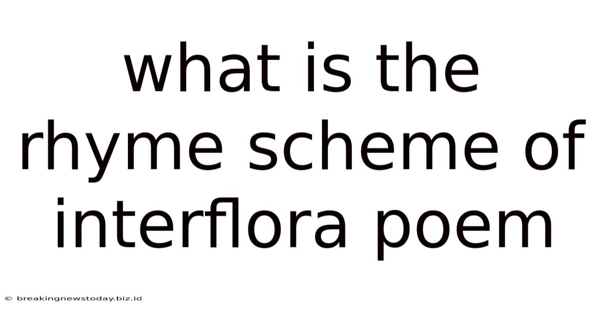 What Is The Rhyme Scheme Of Interflora Poem