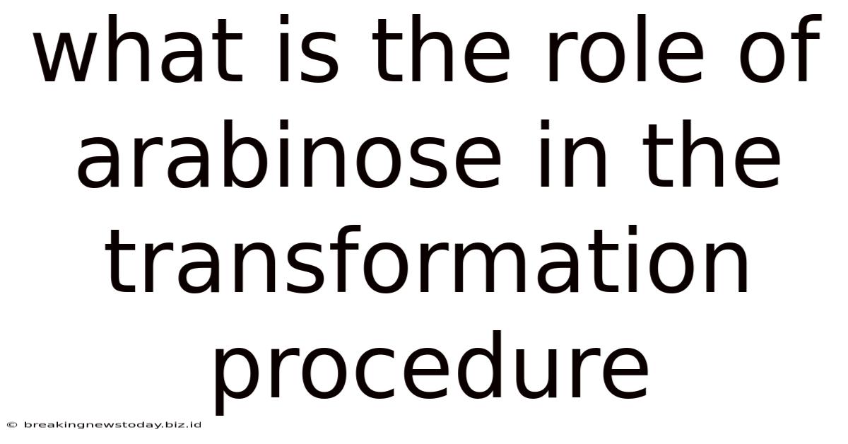 What Is The Role Of Arabinose In The Transformation Procedure