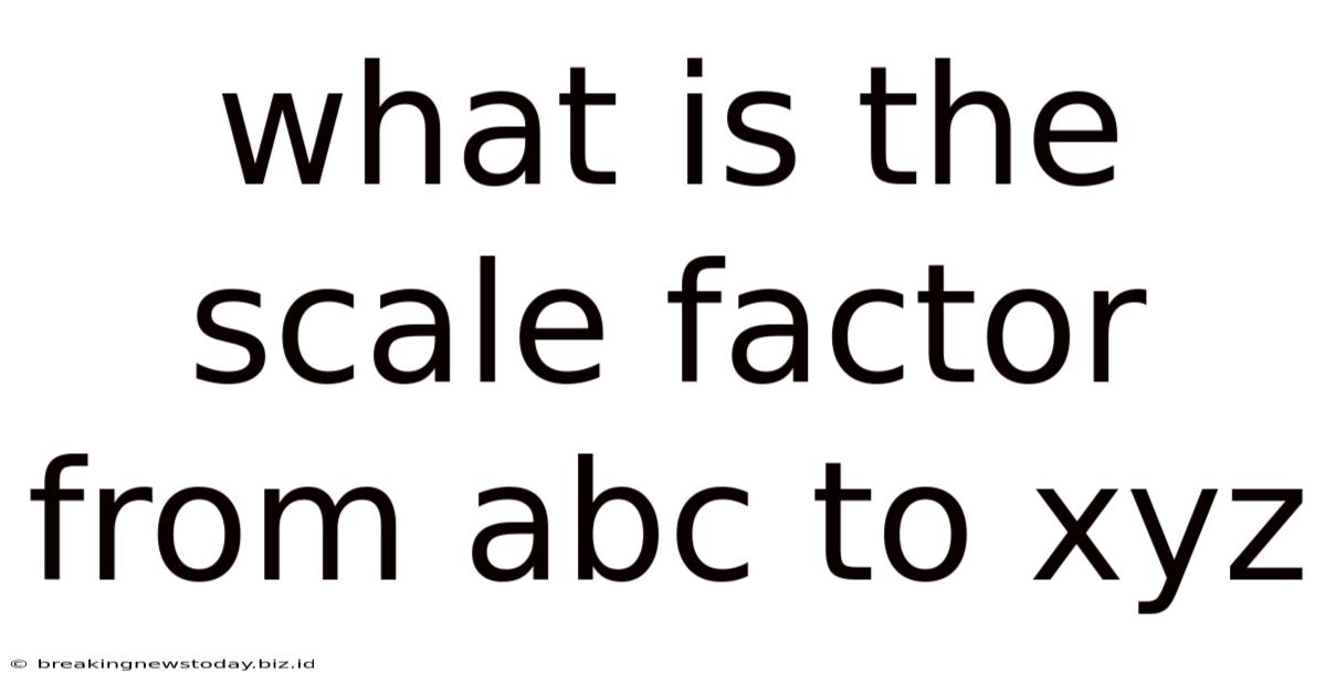 What Is The Scale Factor From Abc To Xyz