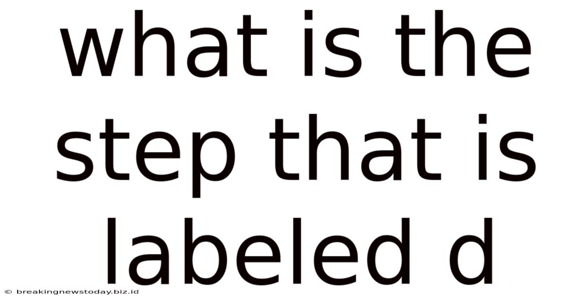 What Is The Step That Is Labeled D