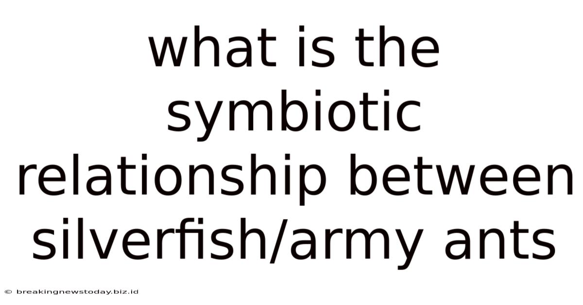 What Is The Symbiotic Relationship Between Silverfish/army Ants