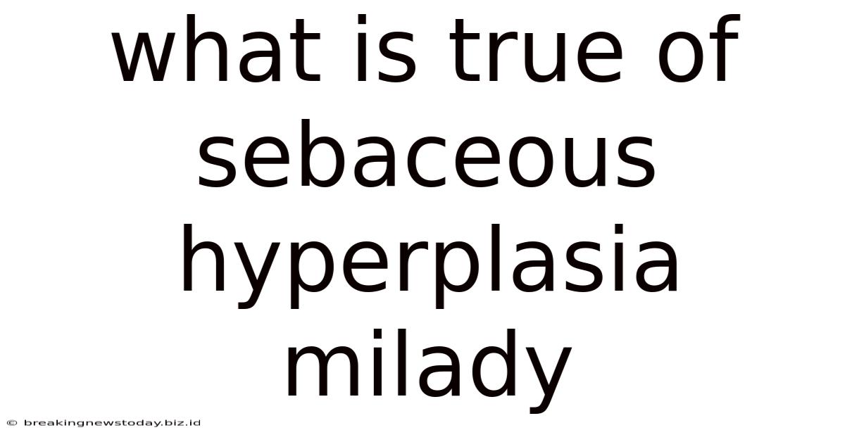What Is True Of Sebaceous Hyperplasia Milady
