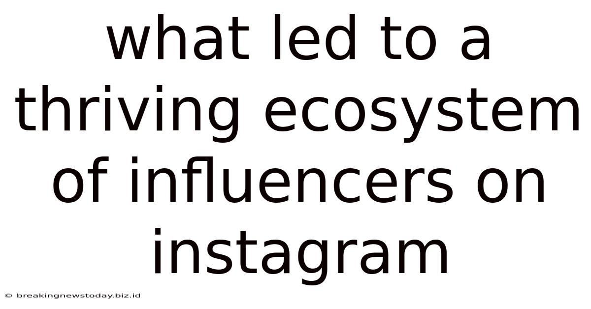 What Led To A Thriving Ecosystem Of Influencers On Instagram