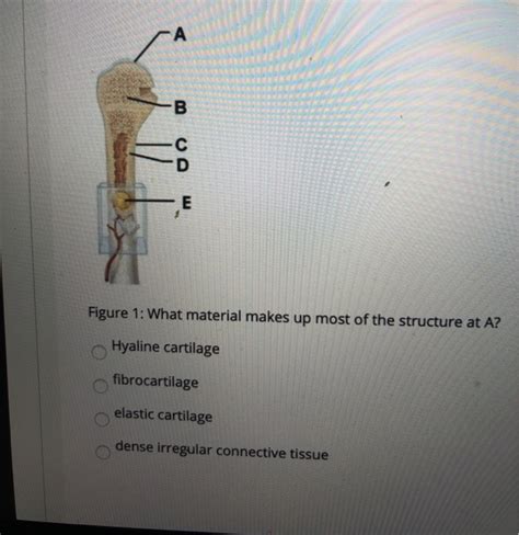 What Material Makes Up Most Of The Structure At A