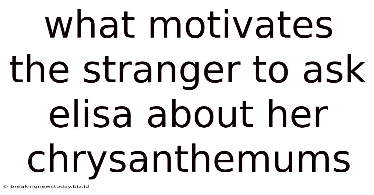 What Motivates The Stranger To Ask Elisa About Her Chrysanthemums