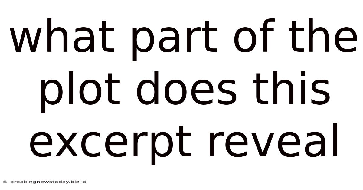 What Part Of The Plot Does This Excerpt Reveal