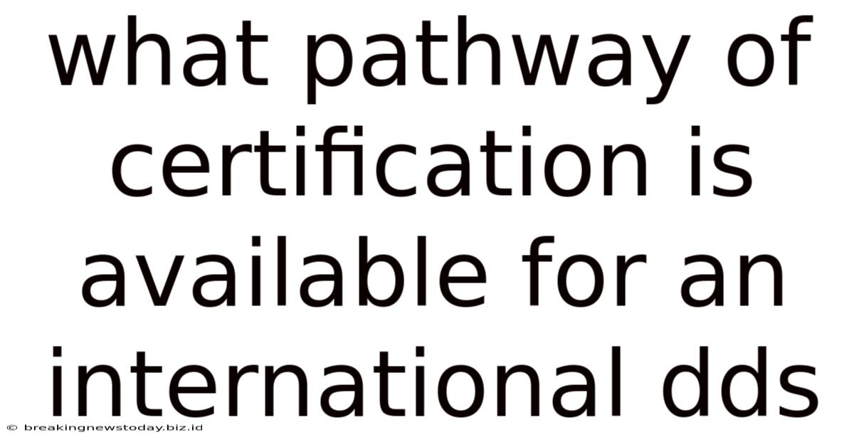 What Pathway Of Certification Is Available For An International Dds