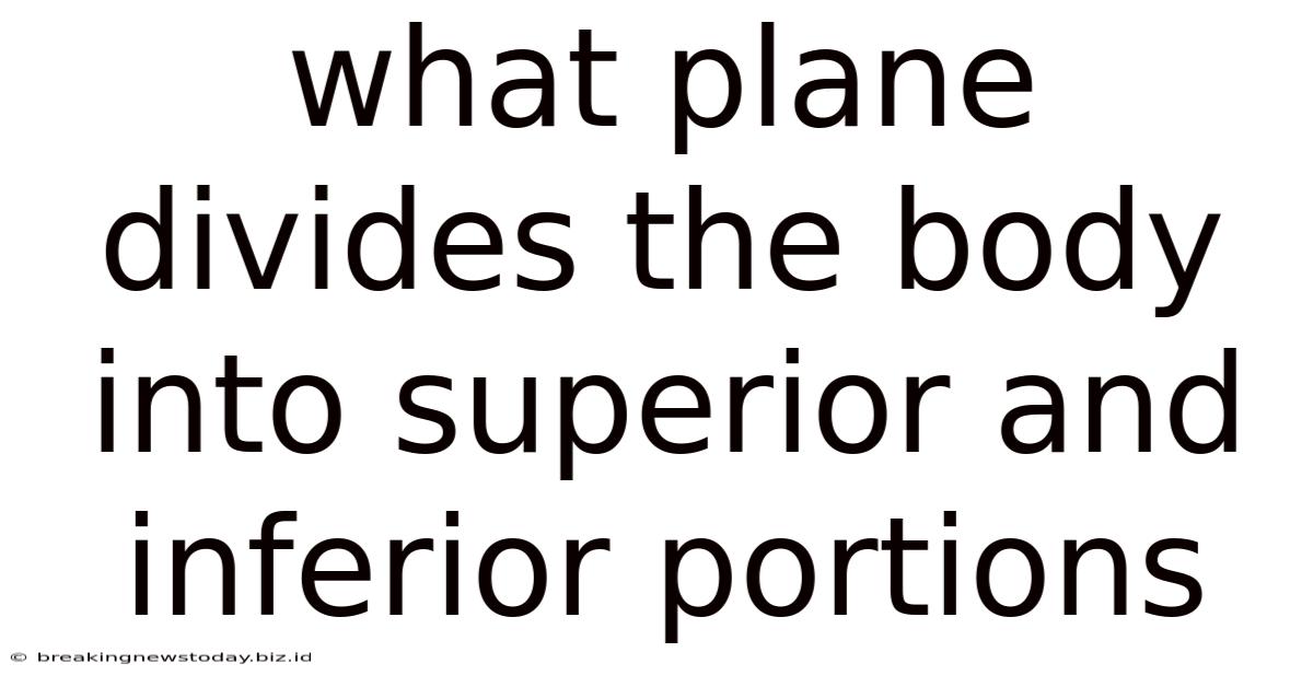 What Plane Divides The Body Into Superior And Inferior Portions