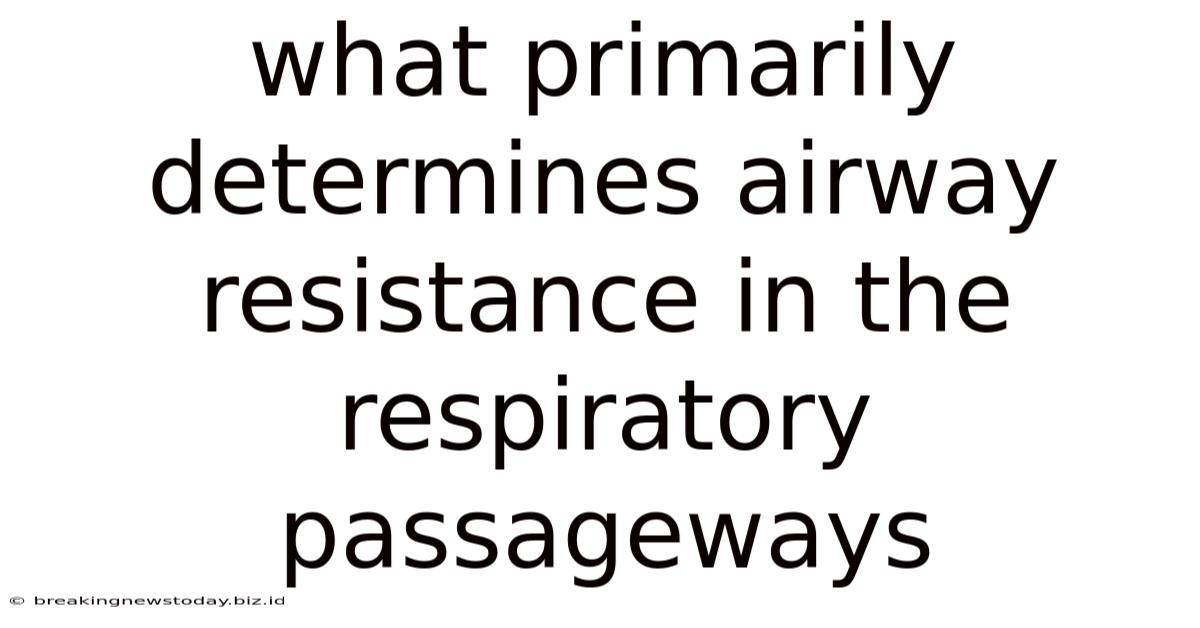What Primarily Determines Airway Resistance In The Respiratory Passageways