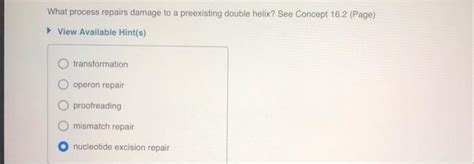 What Process Repairs Damage To A Preexisting Double Helix