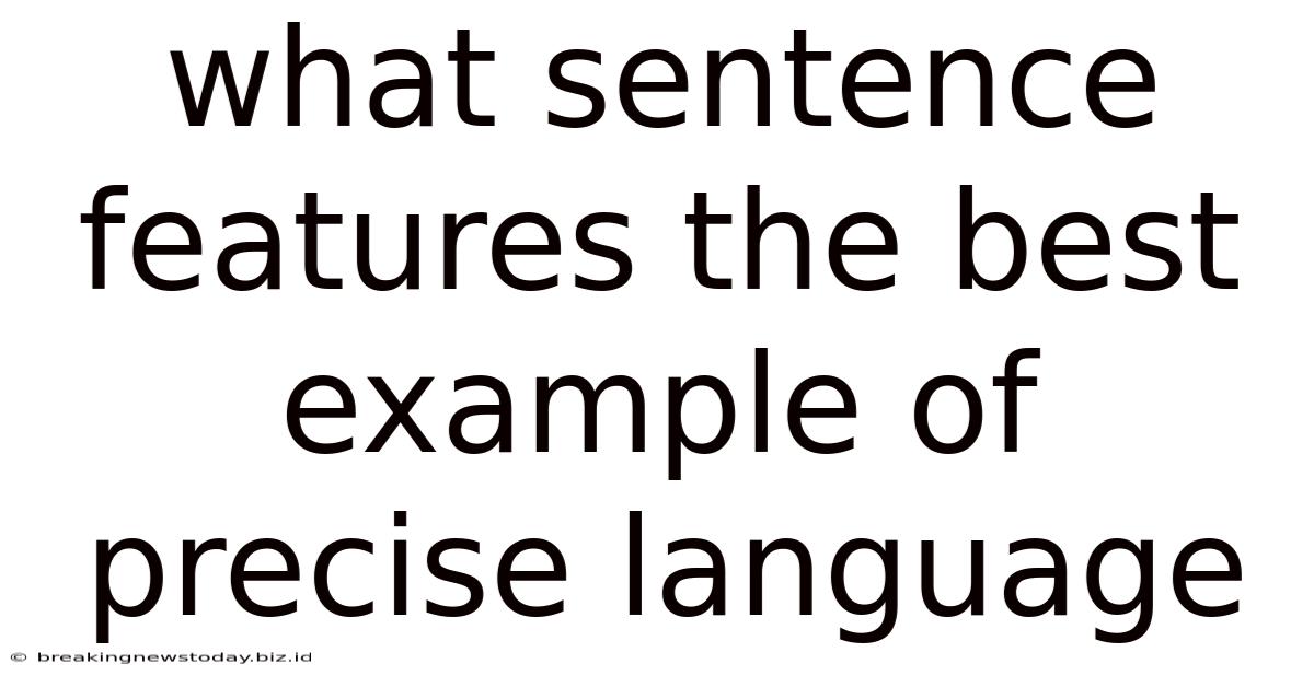 What Sentence Features The Best Example Of Precise Language