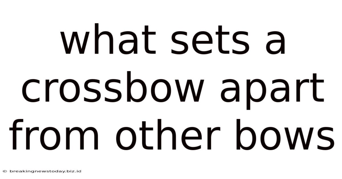 What Sets A Crossbow Apart From Other Bows