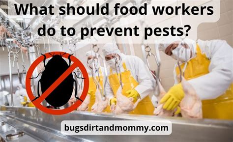 What Should Food Workers Do To Prevent Pests