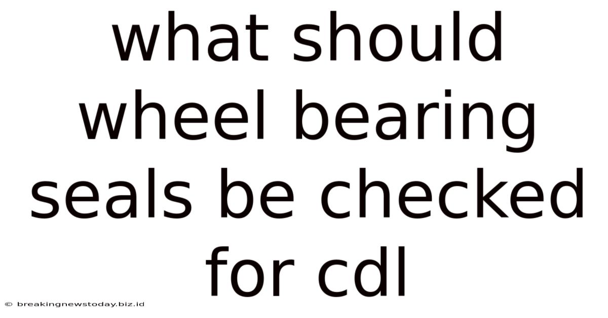 What Should Wheel Bearing Seals Be Checked For Cdl