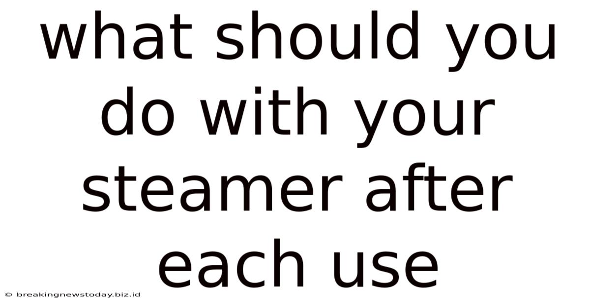 What Should You Do With Your Steamer After Each Use