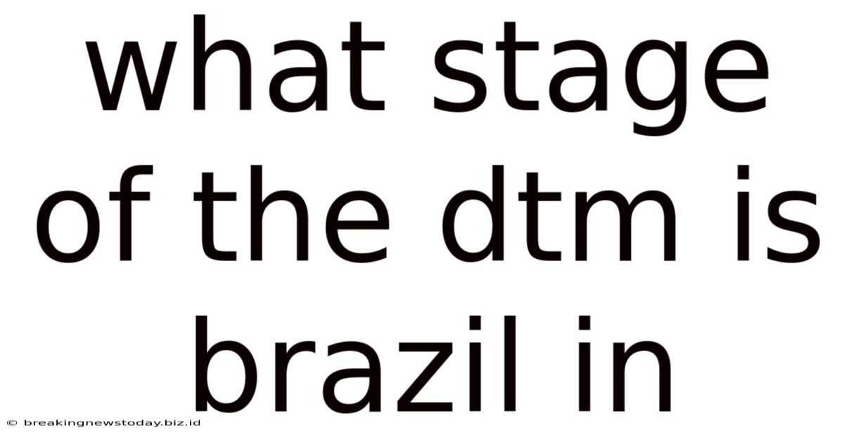 What Stage Of The Dtm Is Brazil In