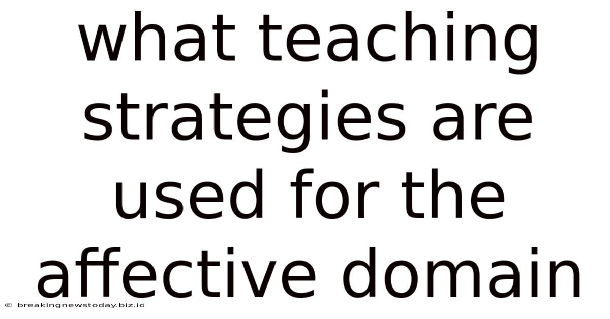 What Teaching Strategies Are Used For The Affective Domain