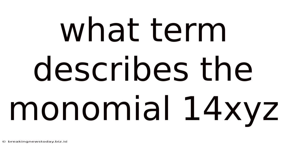 What Term Describes The Monomial 14xyz