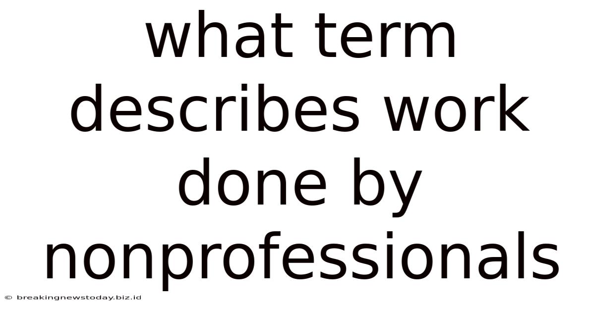 What Term Describes Work Done By Nonprofessionals